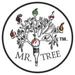 Mr.Tree Mr.Tree